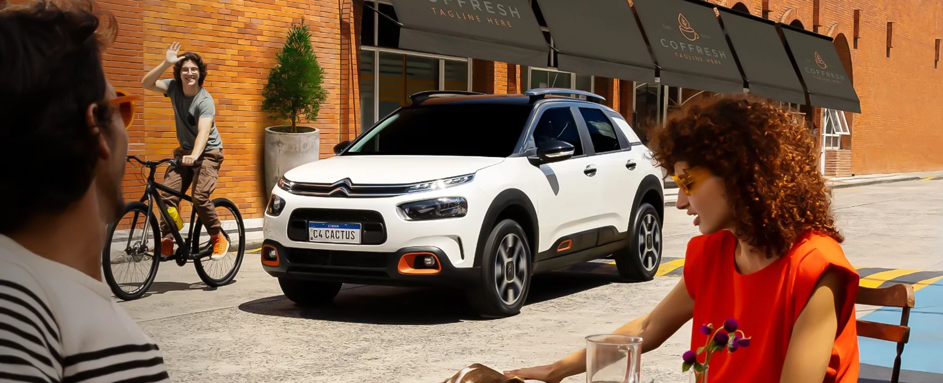 Novo C4 Cactus